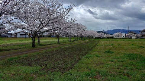 KIMG20260331_103650870