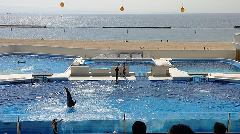 KIMG20251008_110236954