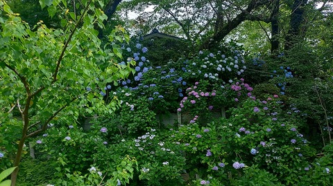 KIMG20260618_101254057