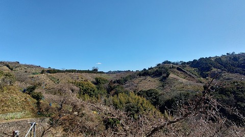 KIMG20260218_125224370