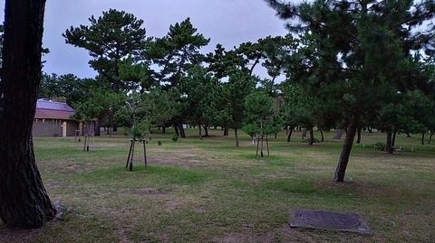 KIMG20251105_064808607