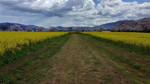 KIMG20260331_104024752