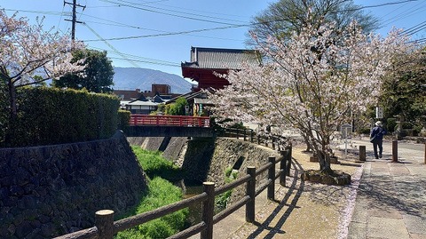 KIMG20260408_103948667