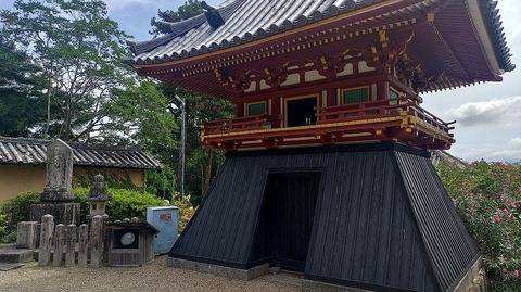KIMG20260618_100211325