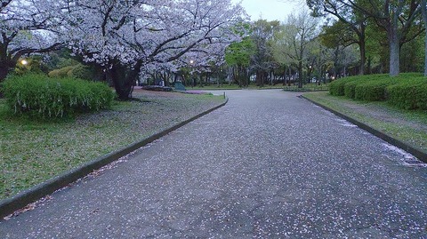 KIMG20260405_053925508