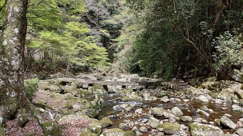 KIMG20260417_120351966