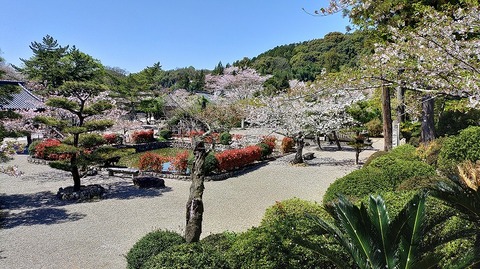 KIMG20260408_105120093