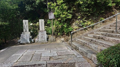 KIMG20260618_095442590