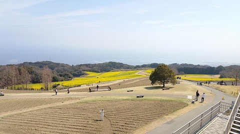 KIMG20260324_120806336