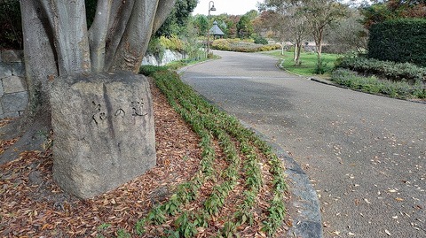 KIMG20251112_111213132