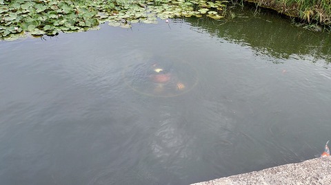 KIMG20250923_120258259