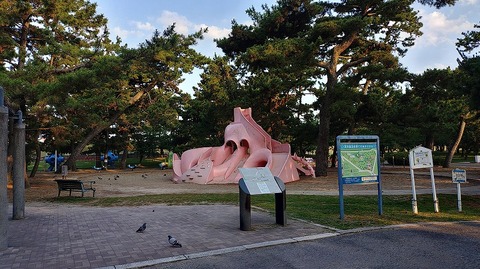 KIMG20260612_055408721