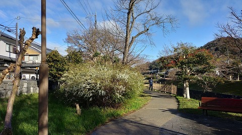 KIMG20260314_074532837