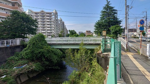 KIMG20260703_081151254