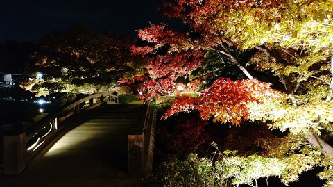 KIMG20251121_175813473