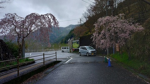 KIMG20260407_123651216