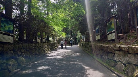 KIMG20260526_115737742