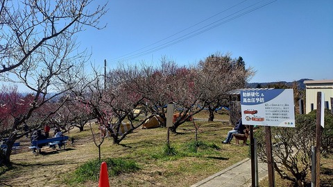 KIMG20260218_124518066