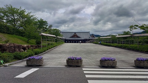 KIMG20260618_113145142