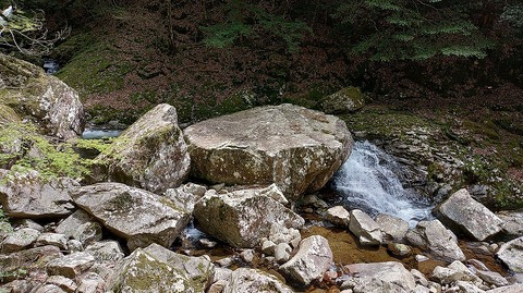 KIMG20260417_121620494