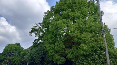 KIMG20260720_084808924