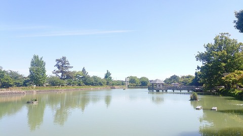 KIMG20260530_140215986
