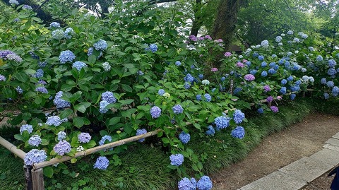 KIMG20260618_100956191
