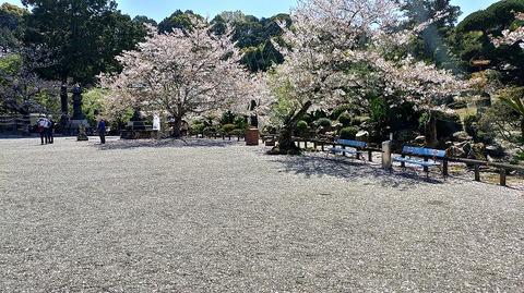 KIMG20260408_104950561