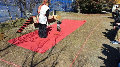 KIMG20260218_124656919