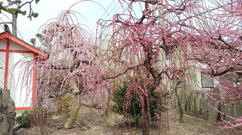 KIMG20260302_123753987