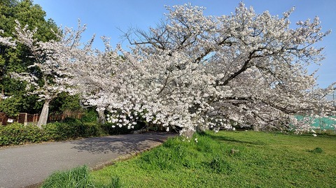 KIMG20260406_071523157