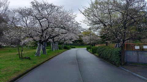 KIMG20260402_061946375