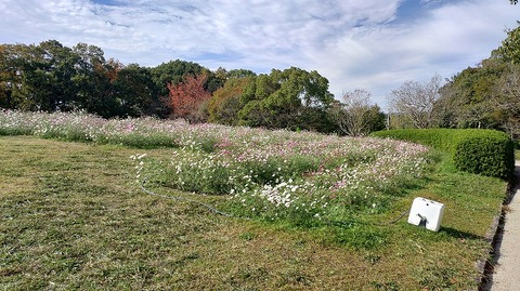 KIMG20251112_110133186