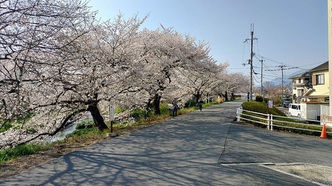 KIMG20260403_082450877