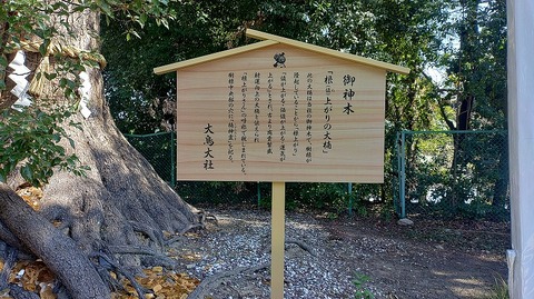 KIMG20260222_114314649