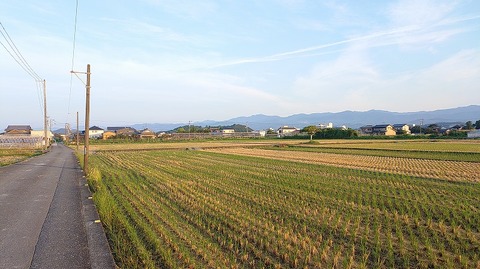 KIMG20260815_055753988
