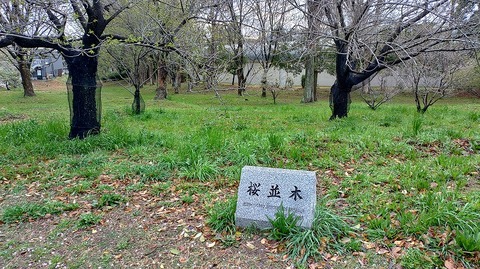 KIMG20260402_064057649