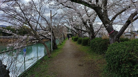 KIMG20260331_104837825