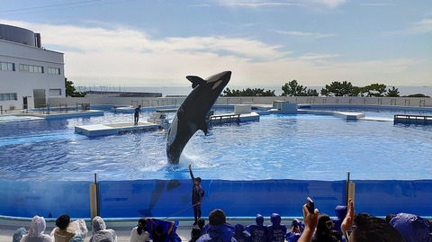 KIMG20251008_113055443