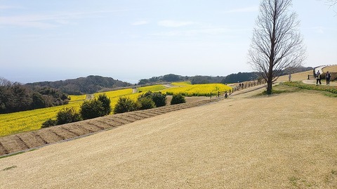 KIMG20260324_115525396