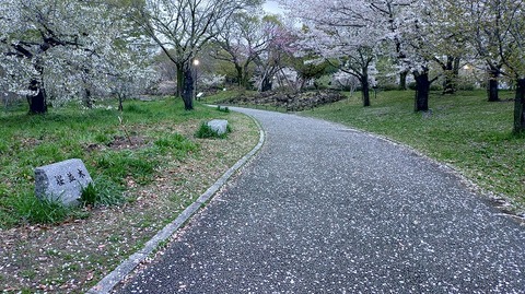 KIMG20260405_054710811