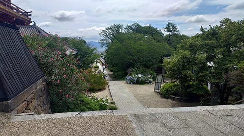 KIMG20260618_100214490