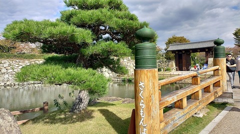 KIMG20251029_124702497