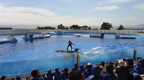 KIMG20251008_113210155