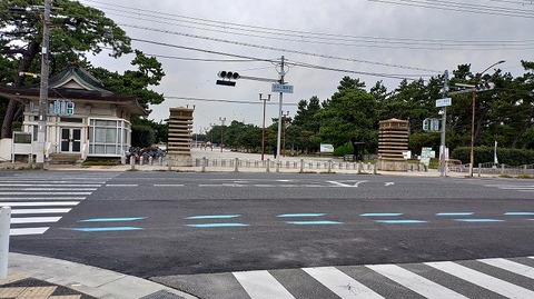 KIMG20251113_124456315