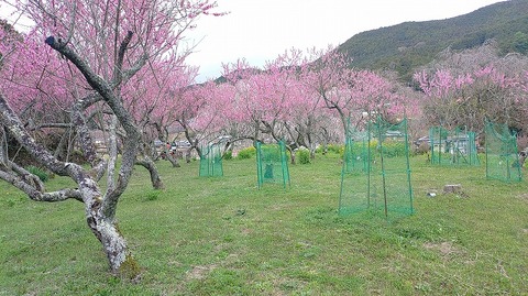 KIMG20260331_112805490