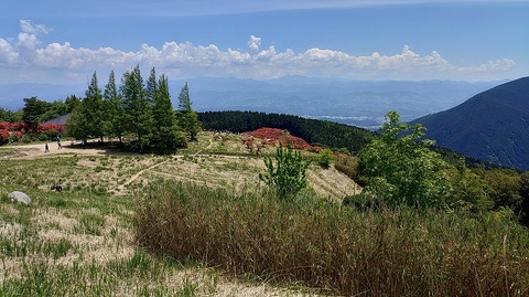 KIMG20260514_121845722