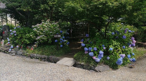 KIMG20260618_095735594