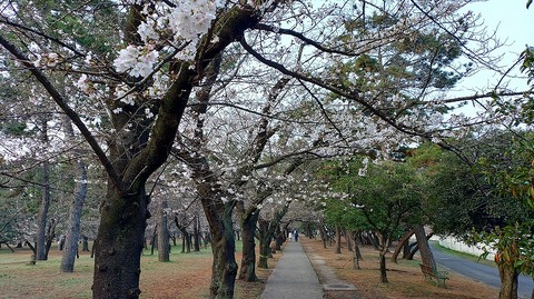 KIMG20260329_062506173