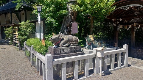 KIMG20260530_135459089